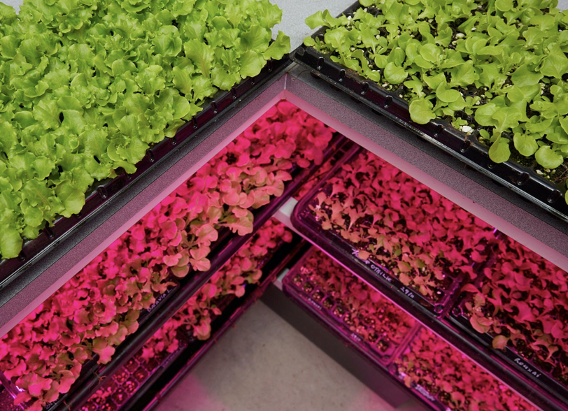 Screen-Shot-2023-06-12-at-90010-am