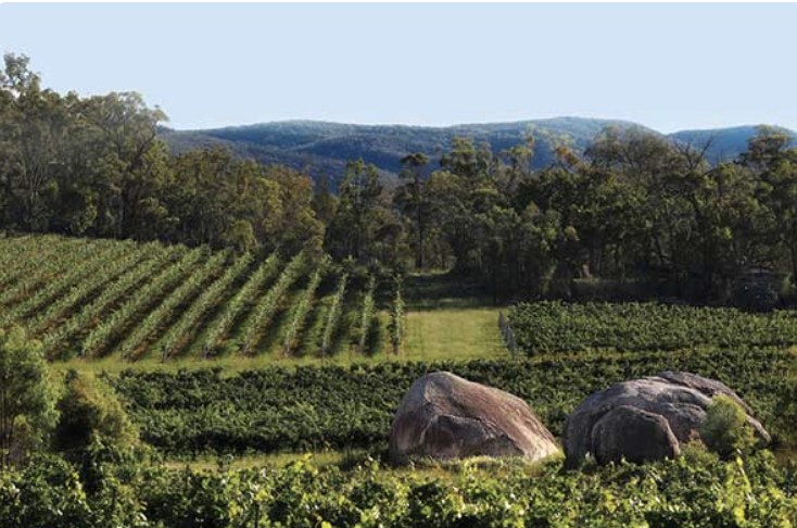 Screen-Shot-2023-06-12-at-114502-am