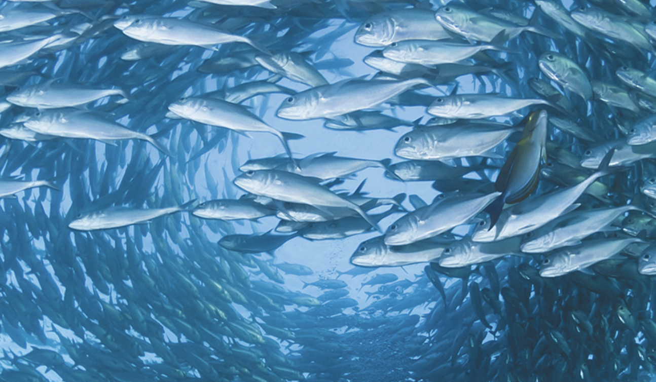 Screen-Shot-2023-06-12-at-114718-am