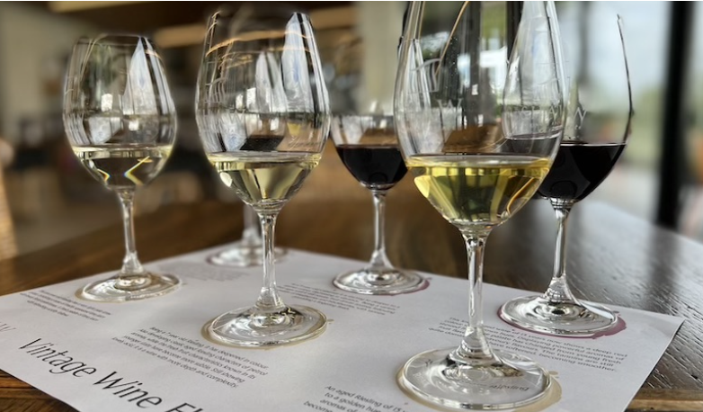 Screen-Shot-2023-06-12-at-120002-pm