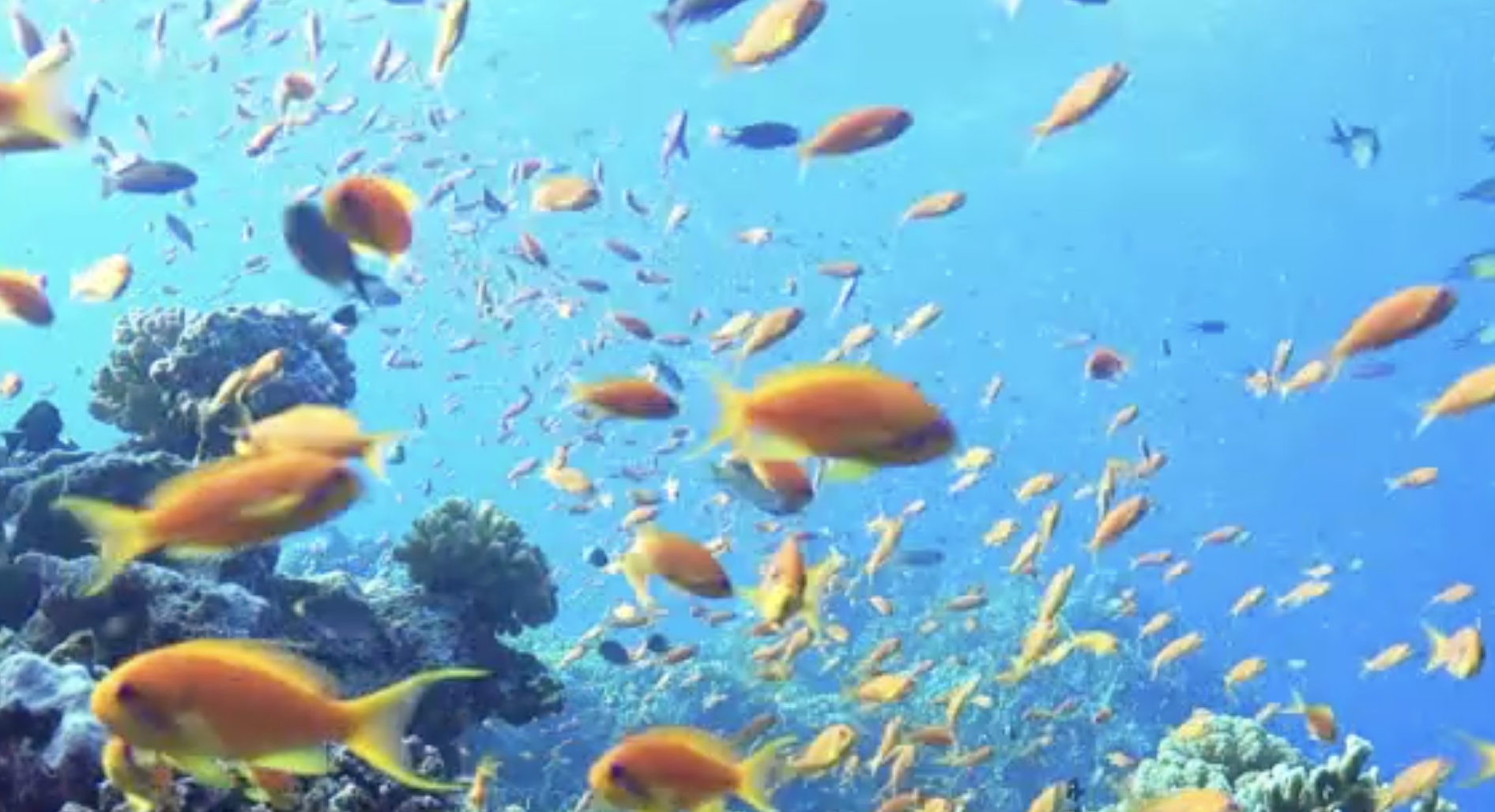 Screen-Shot-2023-06-12-at-124458-pm