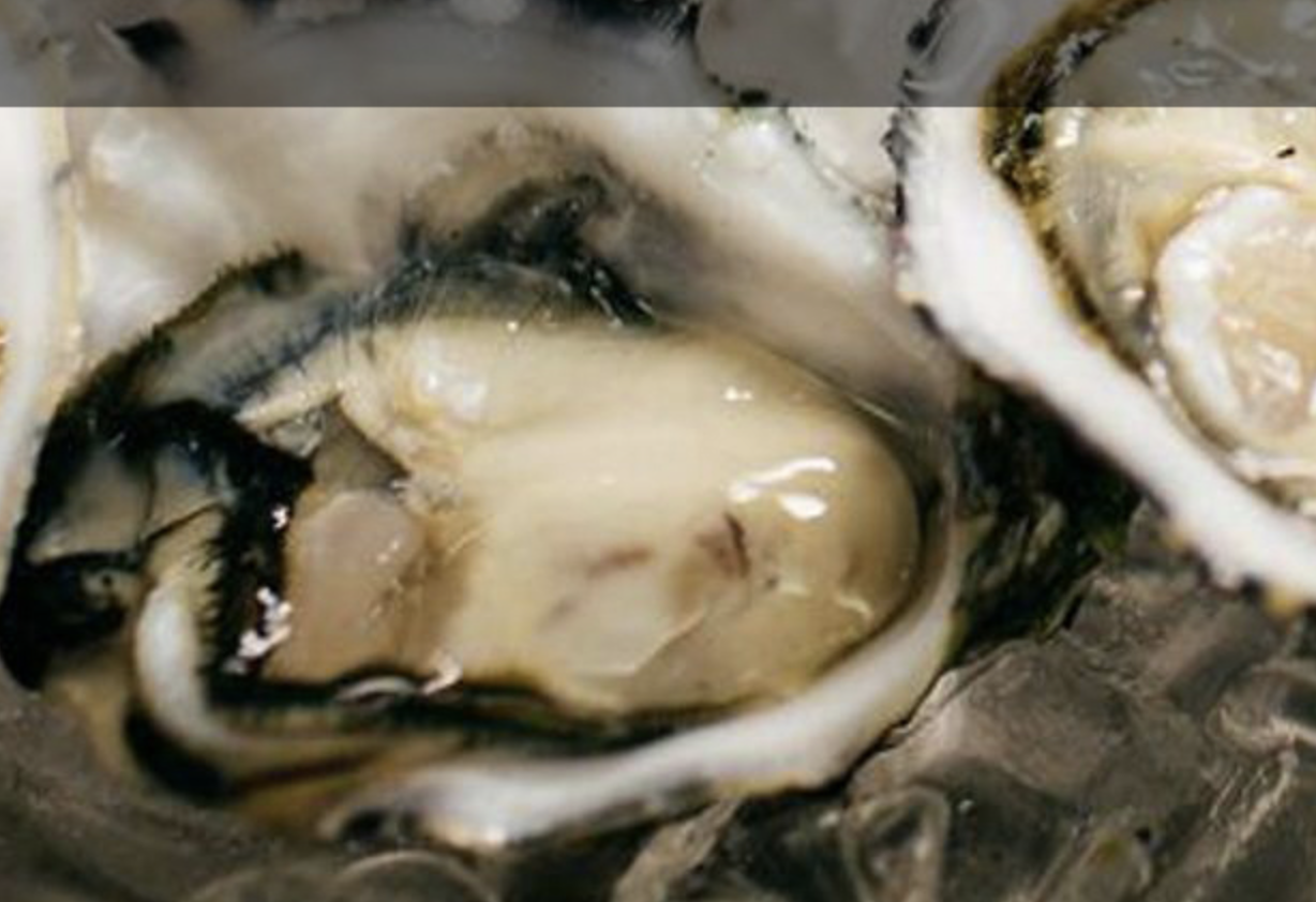 Screen-Shot-2023-06-12-at-124938-pm