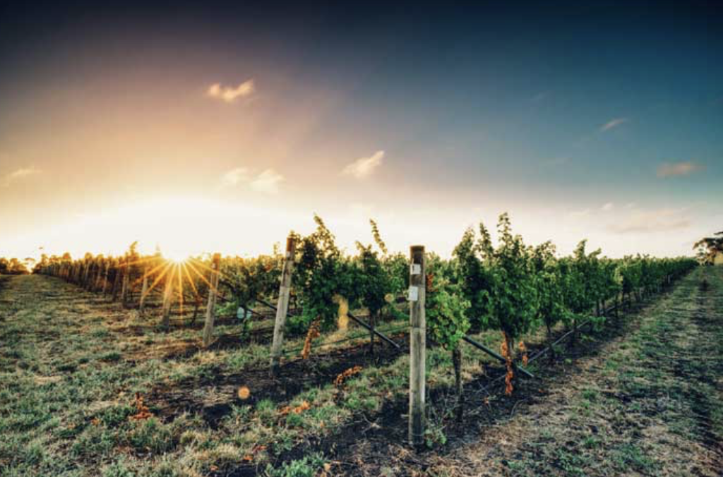 Screen-Shot-2023-06-12-at-125405-pm