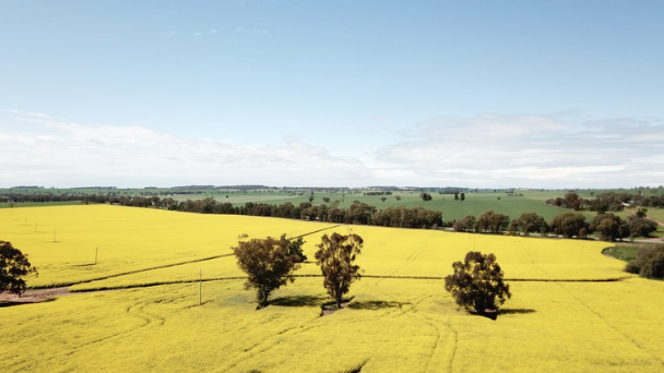 Screen-Shot-2023-06-13-at-30658-pm