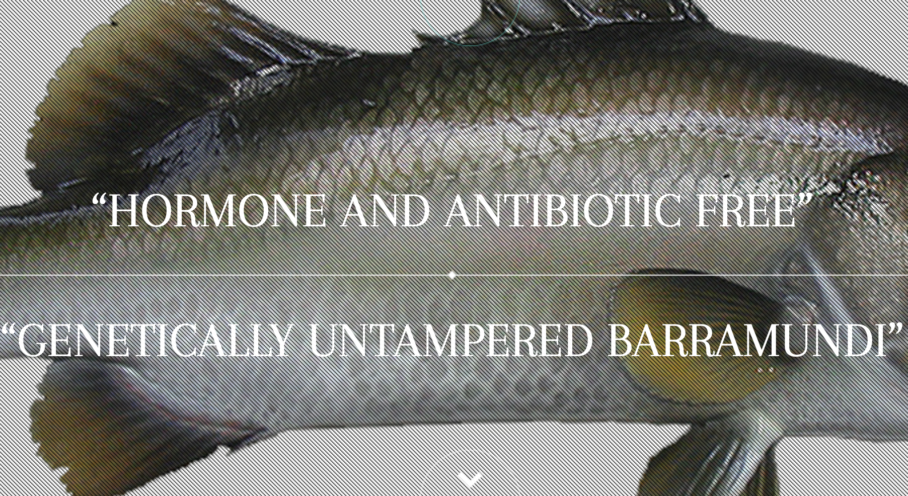 Screen-Shot-2023-06-13-at-31501-pm