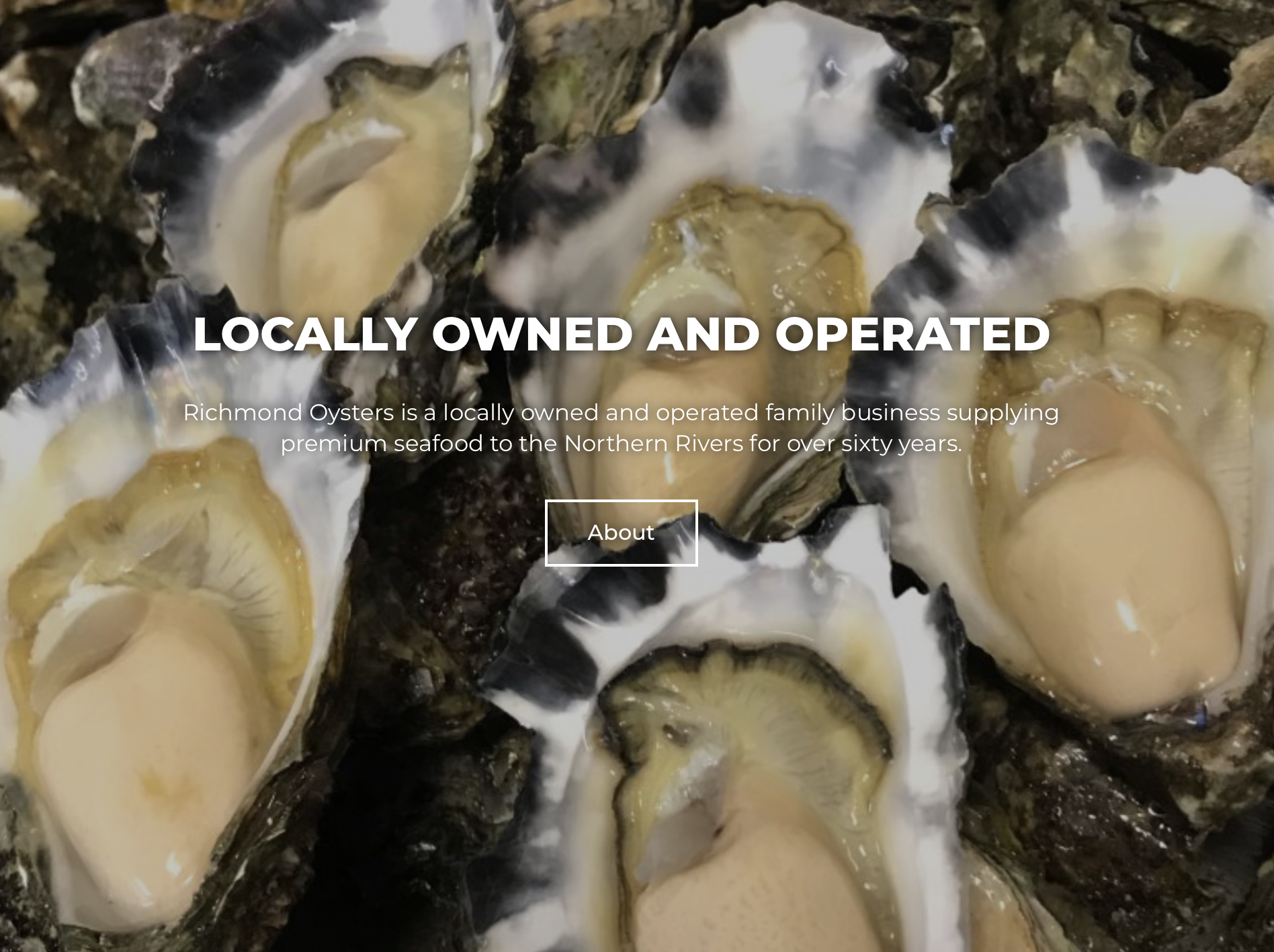 Screen-Shot-2023-06-13-at-52011-pm