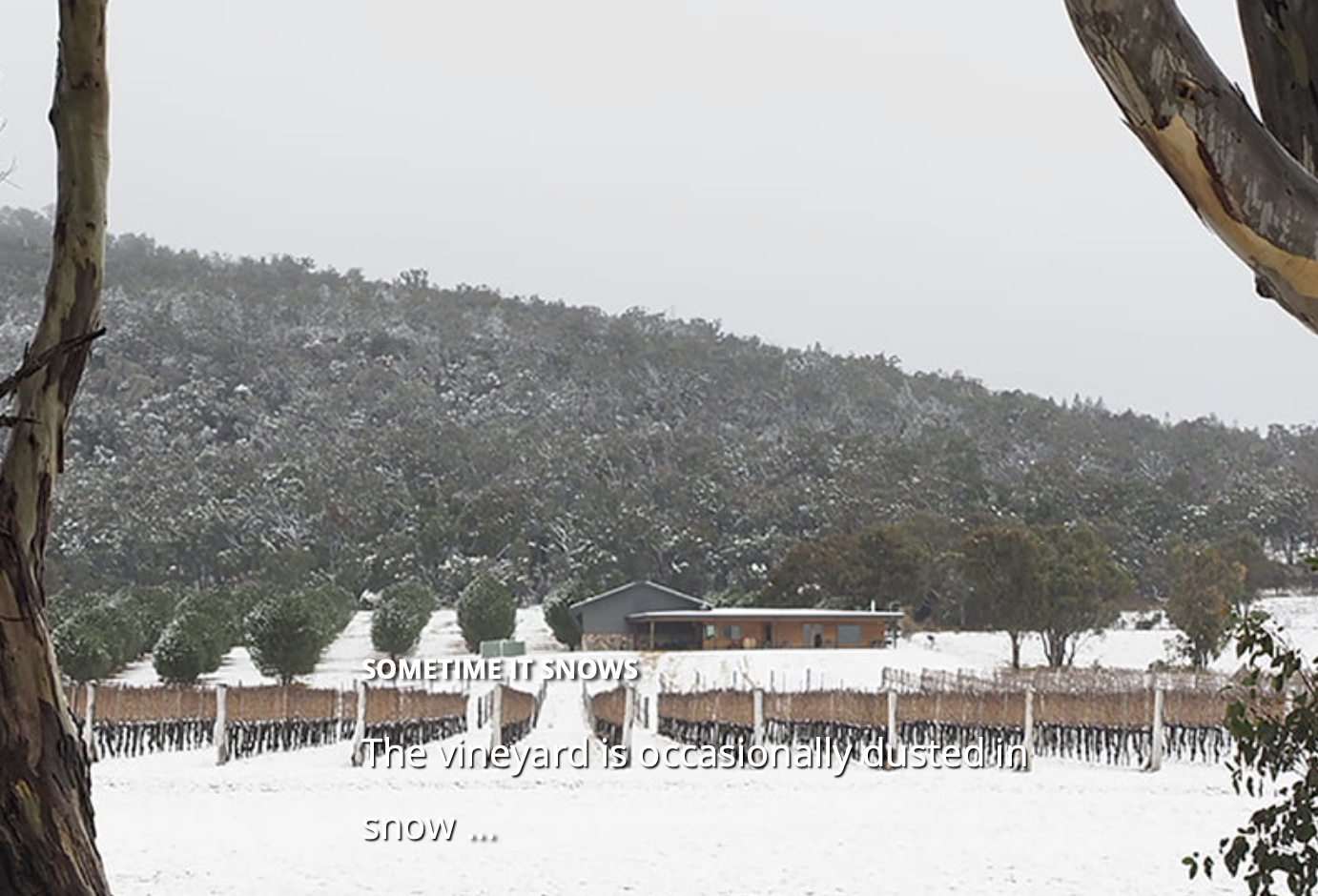 Screen-Shot-2023-06-12-at-11301-pm