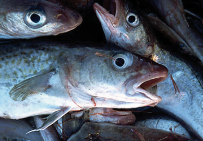 Screen-Shot-2023-06-12-at-11726-pm