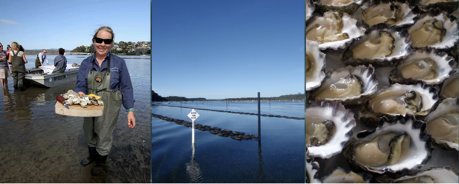 Screen-Shot-2023-06-12-at-12244-pm