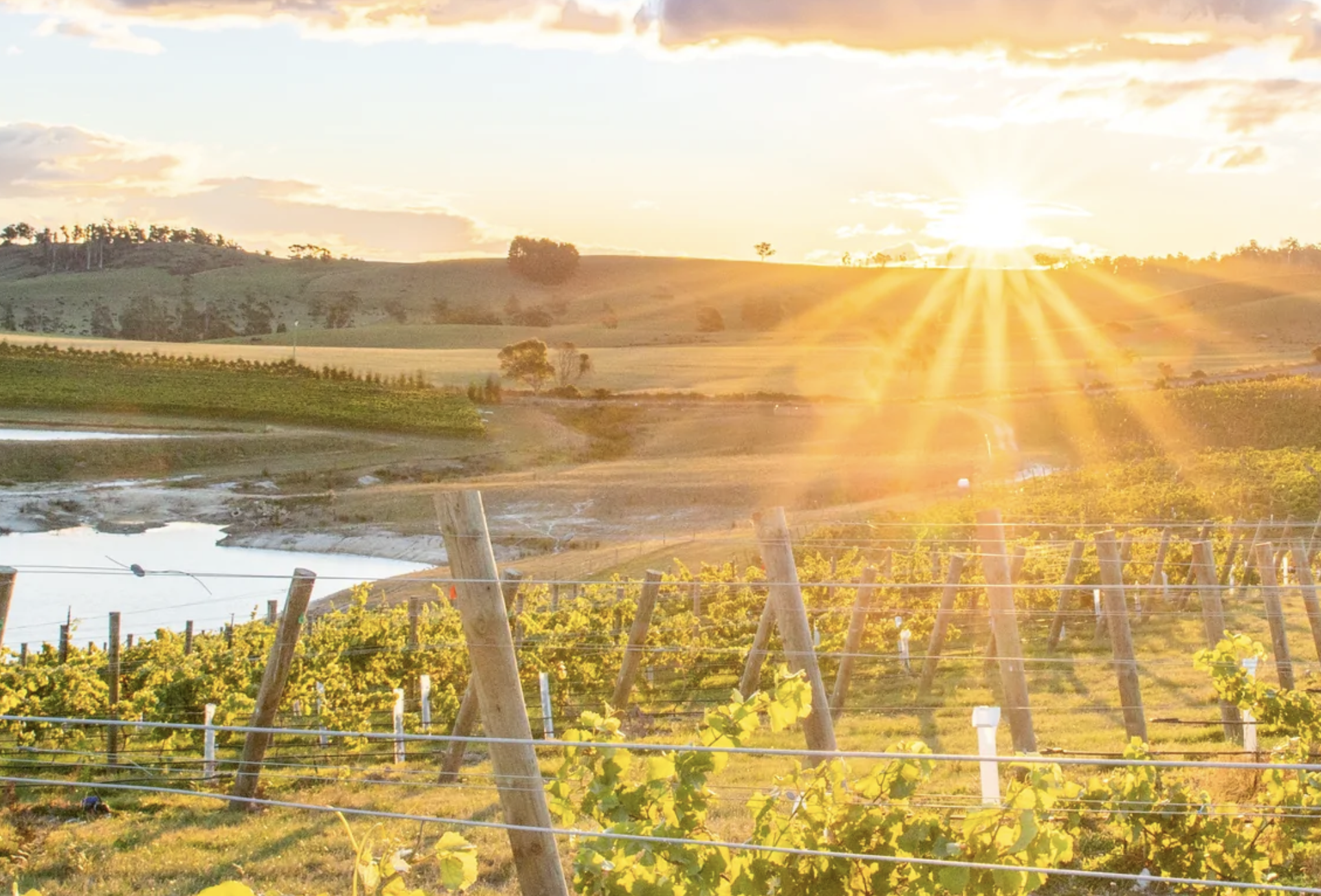 Screen-Shot-2023-06-12-at-44401-pm