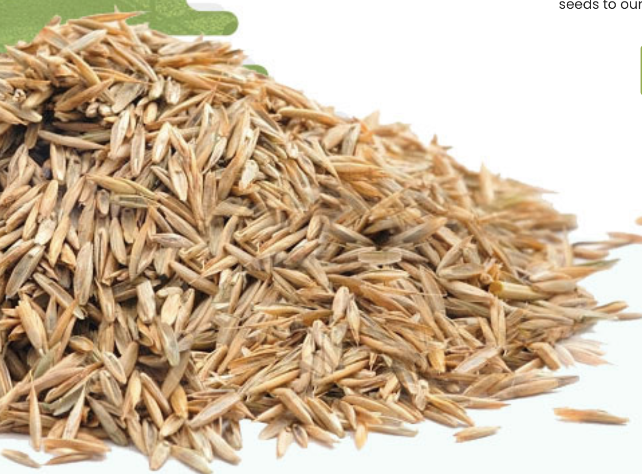 Screen-Shot-2023-06-12-at-50006-pm