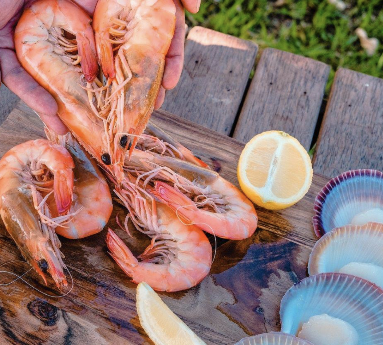 Screen-Shot-2023-06-12-at-53257-pm