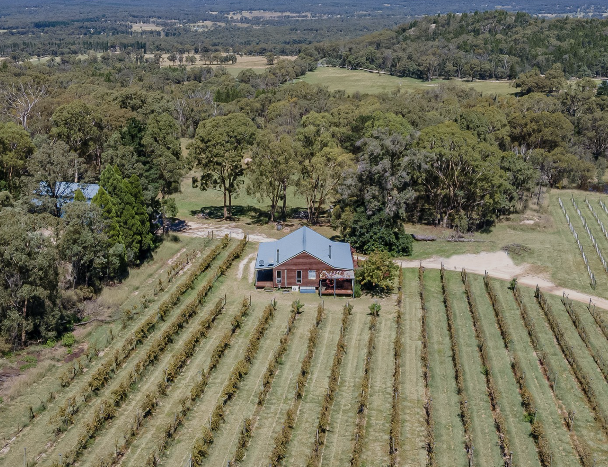 Screen-Shot-2023-06-15-at-83258-am