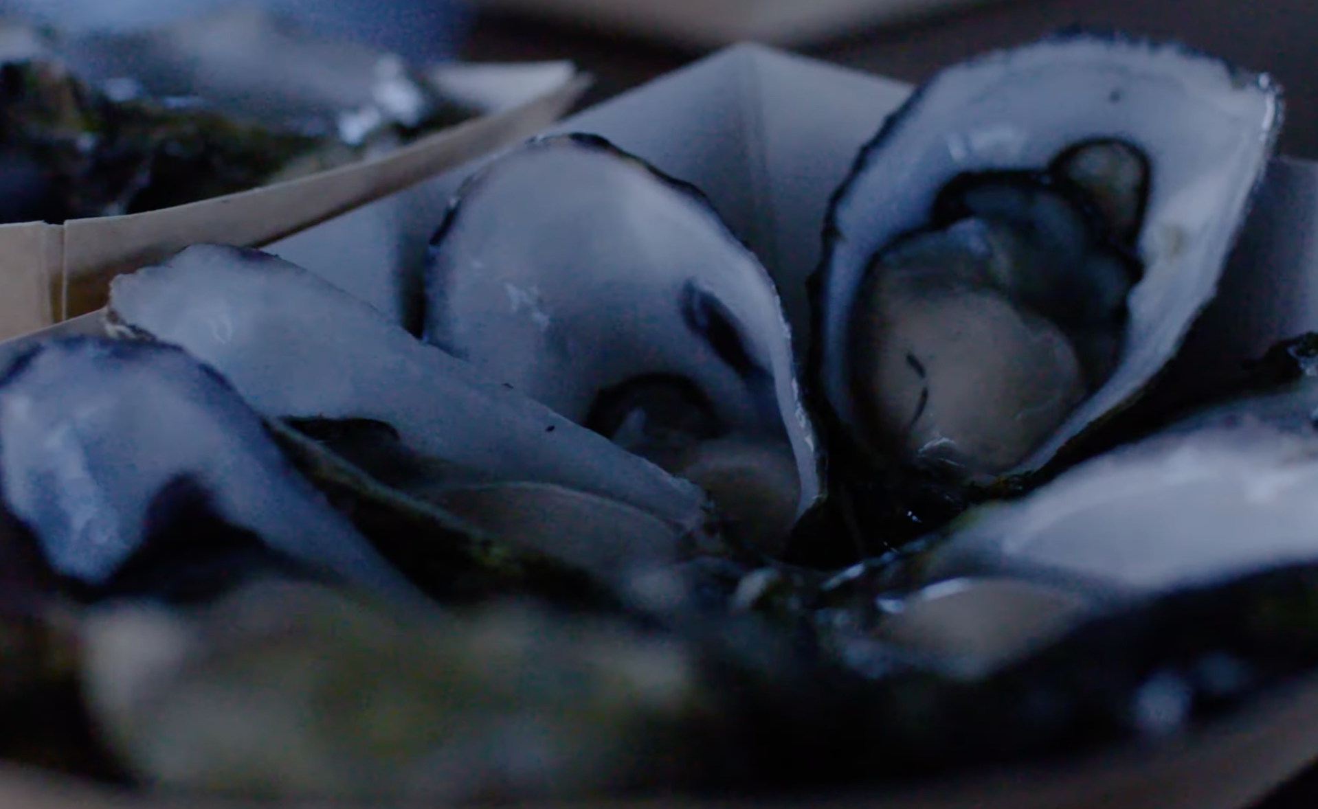 Screen-Shot-2023-06-15-at-30233-pm