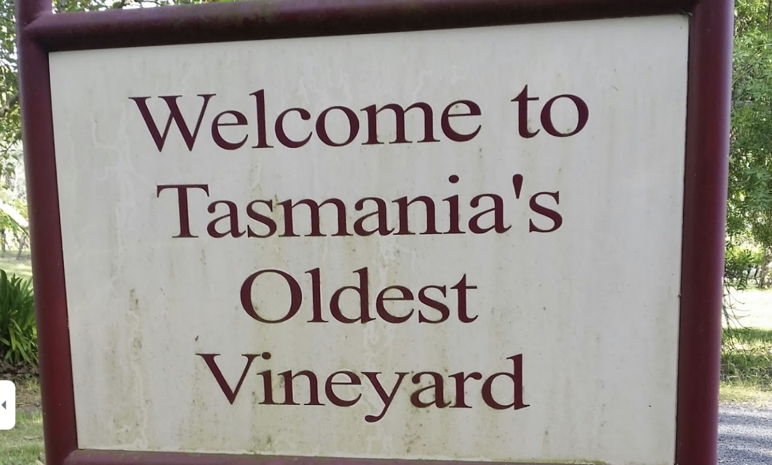 Screen-Shot-2023-06-15-at-30556-pm