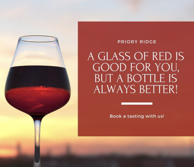 Screen-Shot-2023-06-15-at-60157-pm