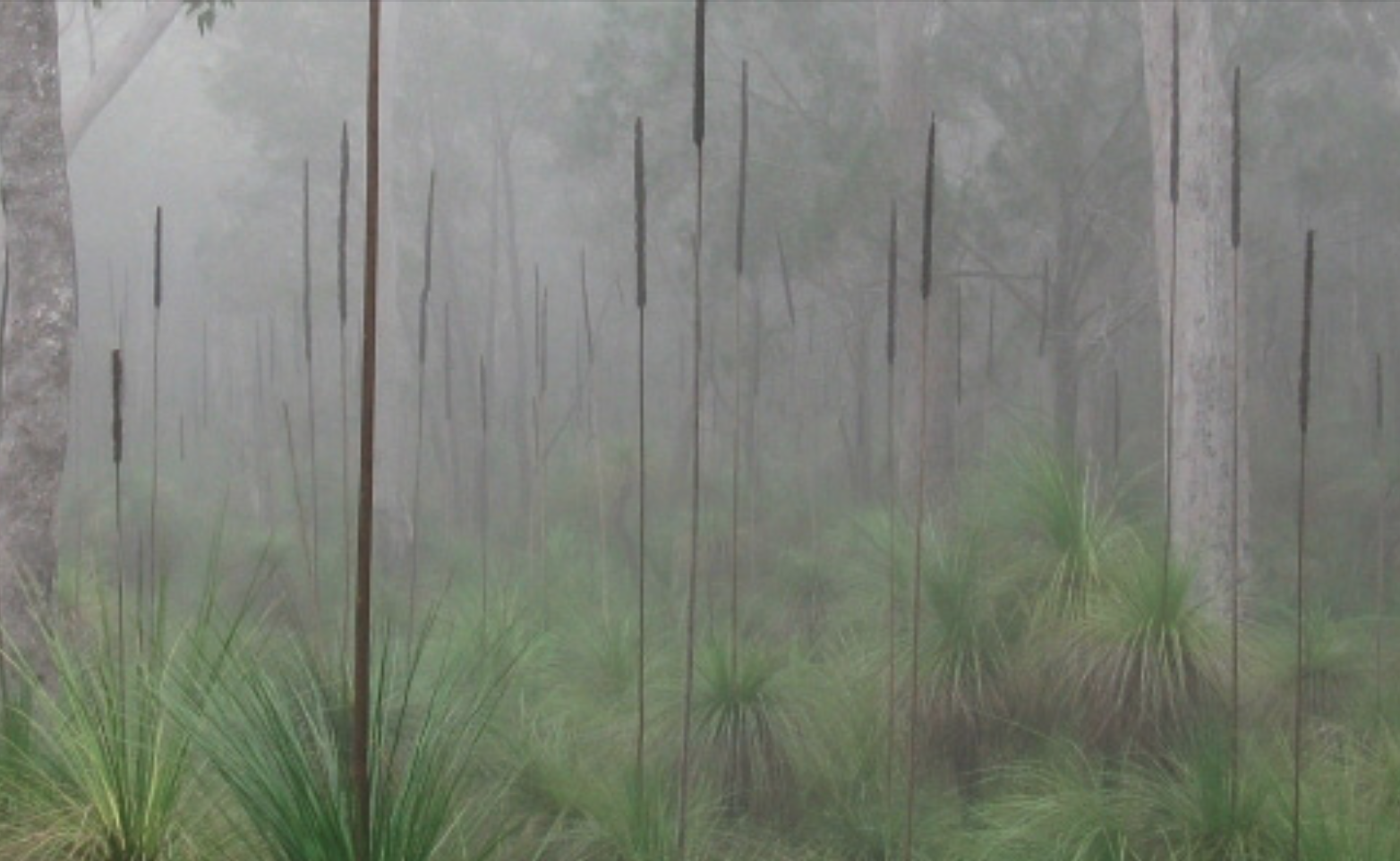 Screen-Shot-2023-06-15-at-61350-pm