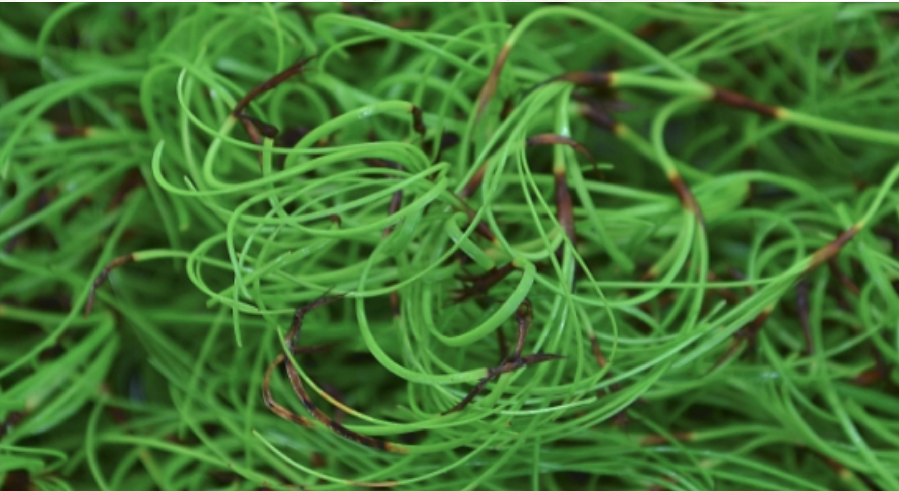 Screen-Shot-2023-06-15-at-61638-pm