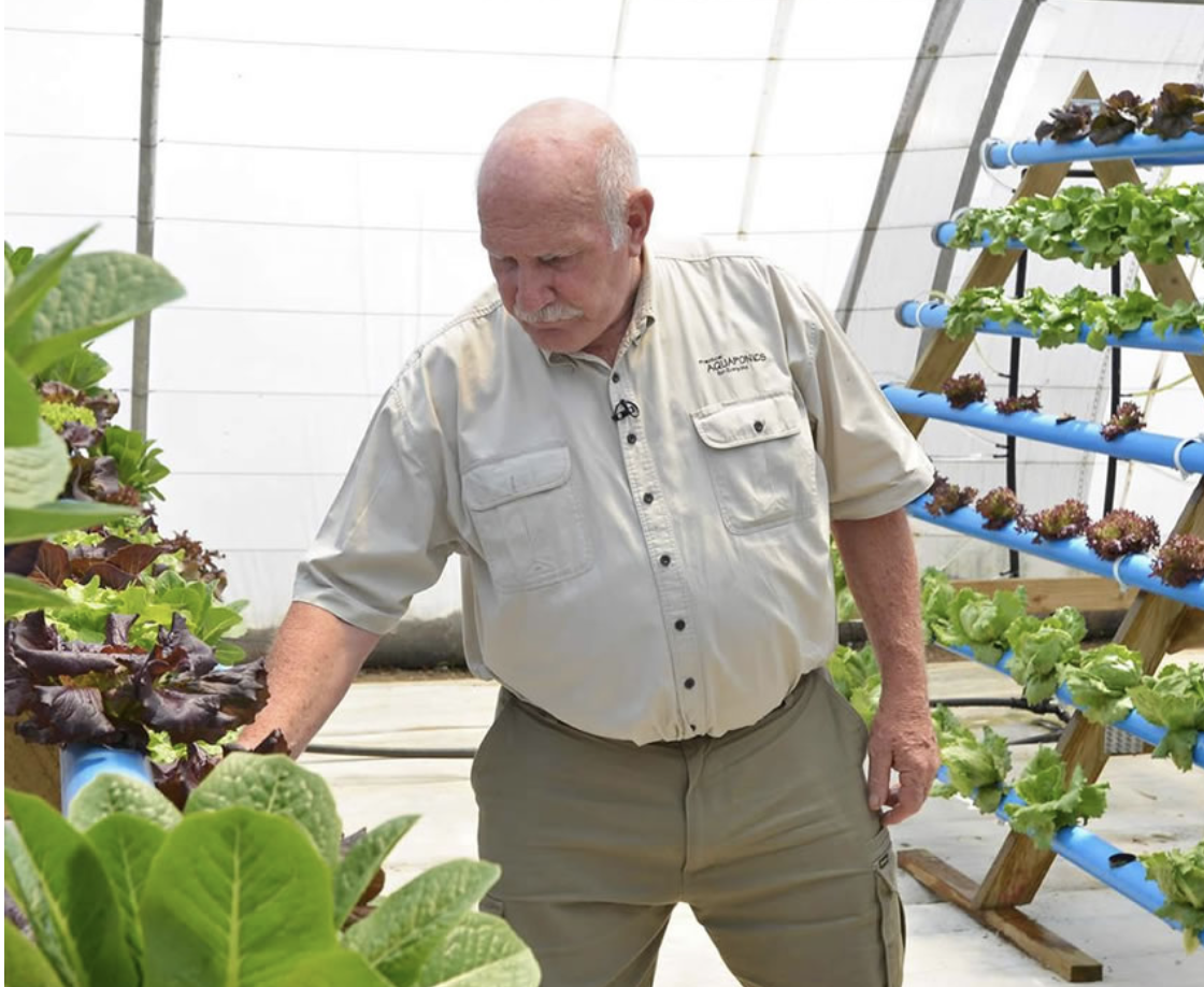 Screen-Shot-2023-06-15-at-62336-pm