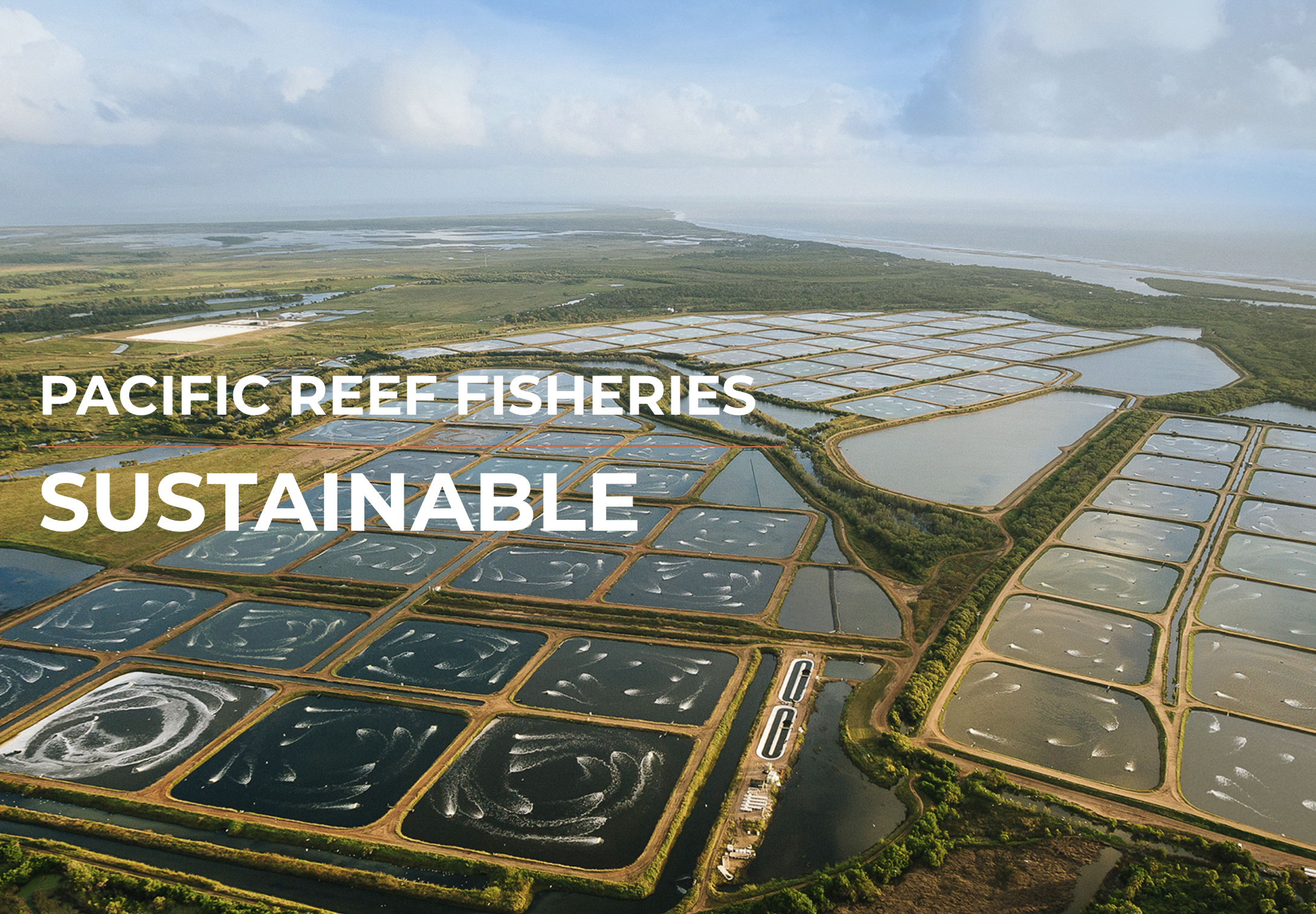 Screen-Shot-2023-06-16-at-94941-am