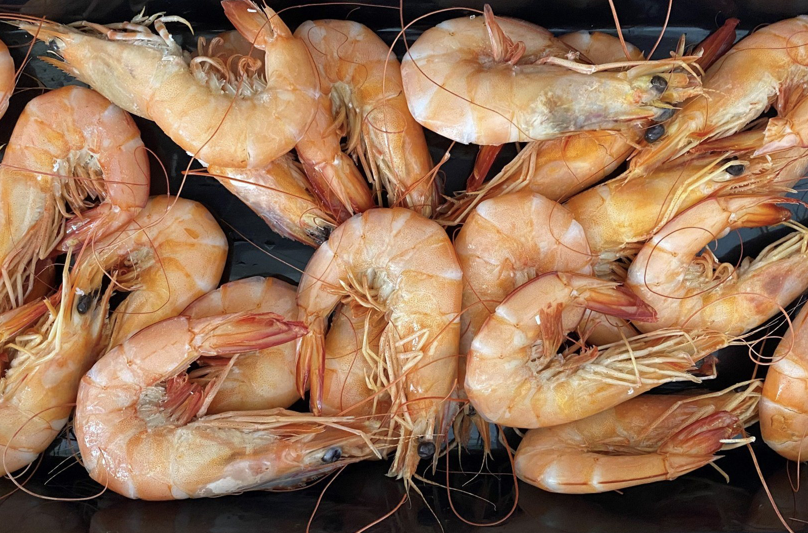 Screen-Shot-2023-06-17-at-121746-pm