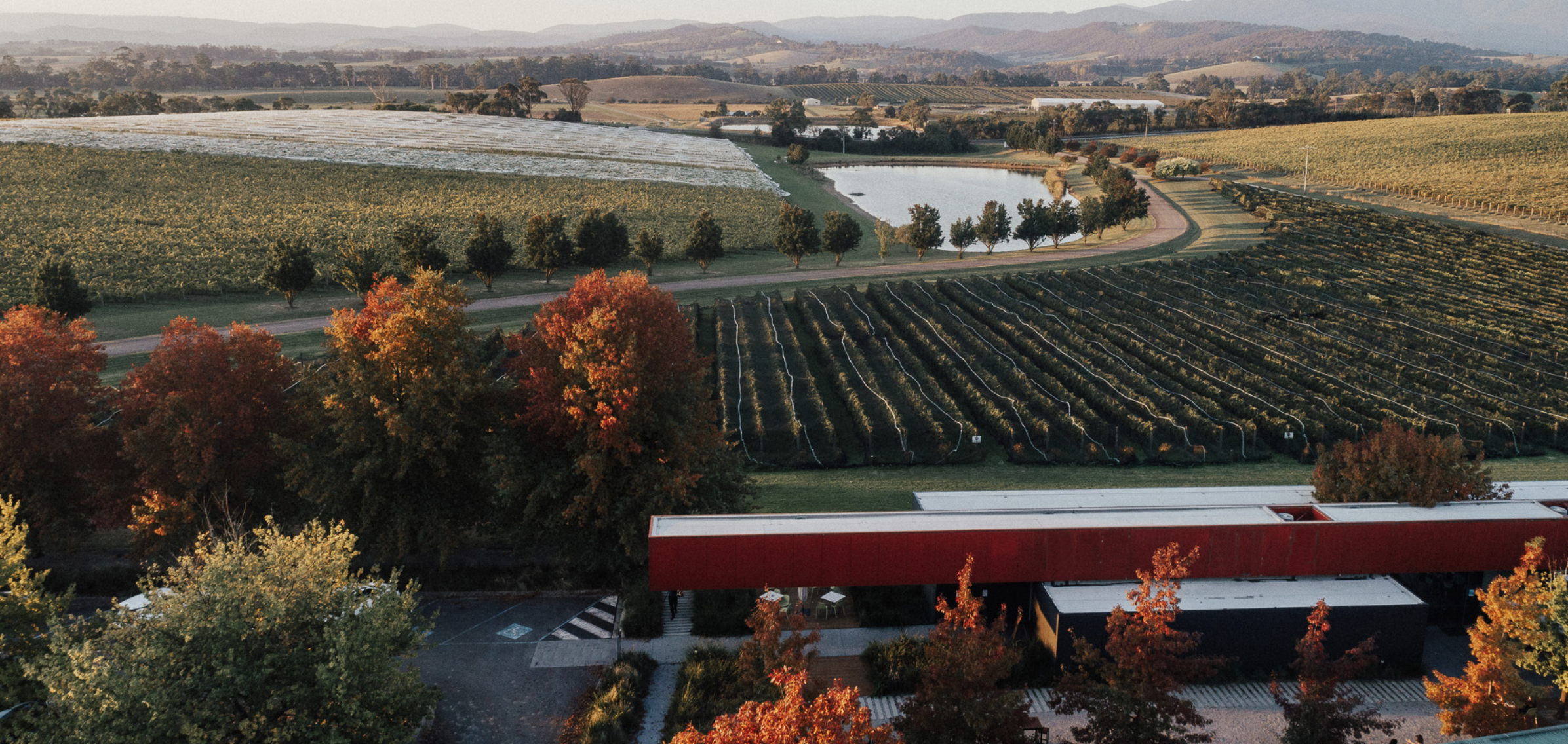 Screen-Shot-2023-06-17-at-122712-pm