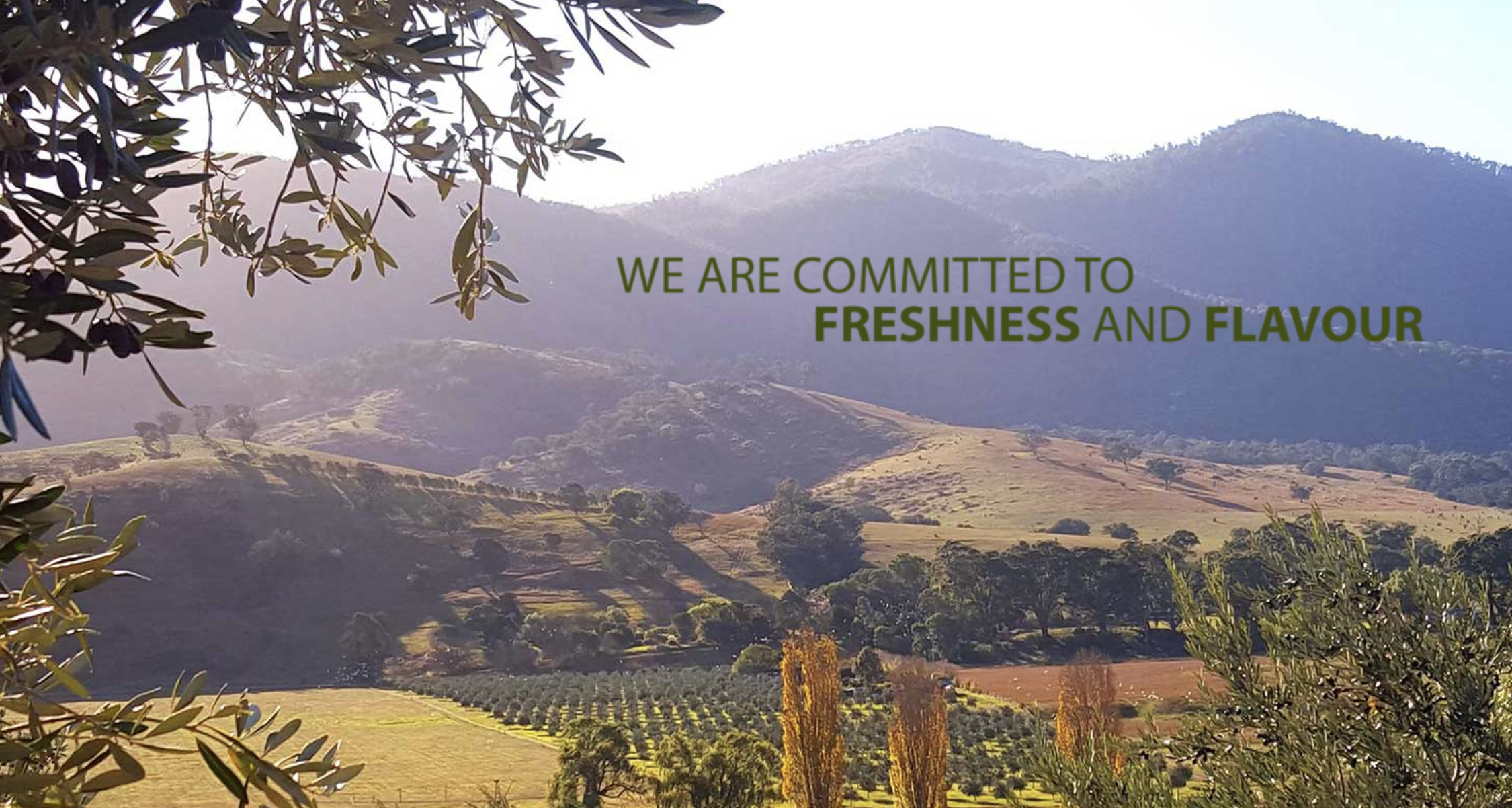 Screen-Shot-2023-06-17-at-123735-pm