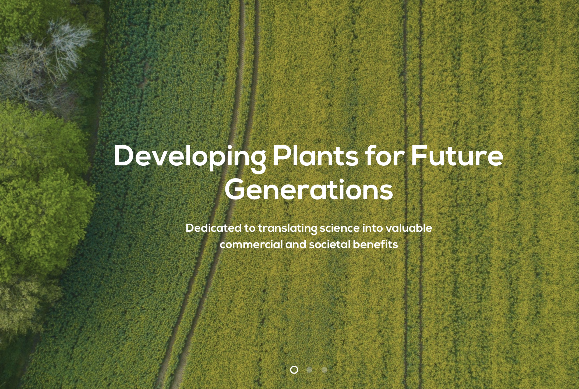 Screen-Shot-2023-06-17-at-24555-pm