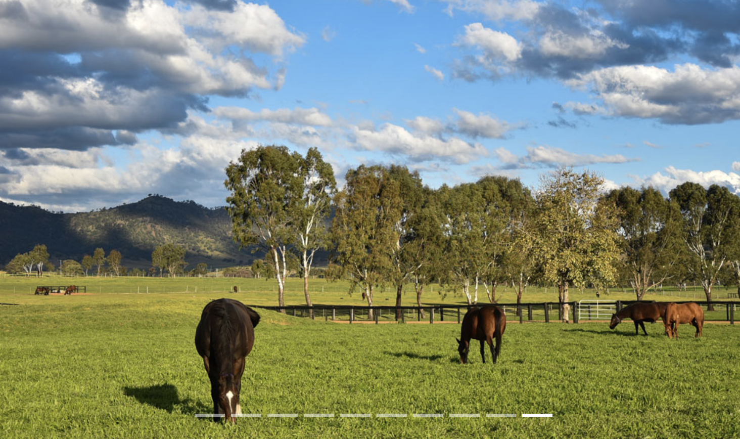 Screen-Shot-2023-06-17-at-25316-pm