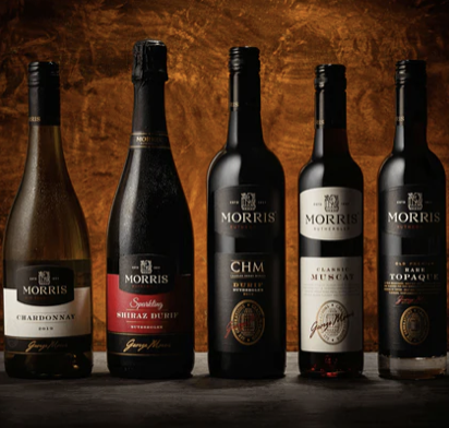 Screen-Shot-2023-06-17-at-33145-pm