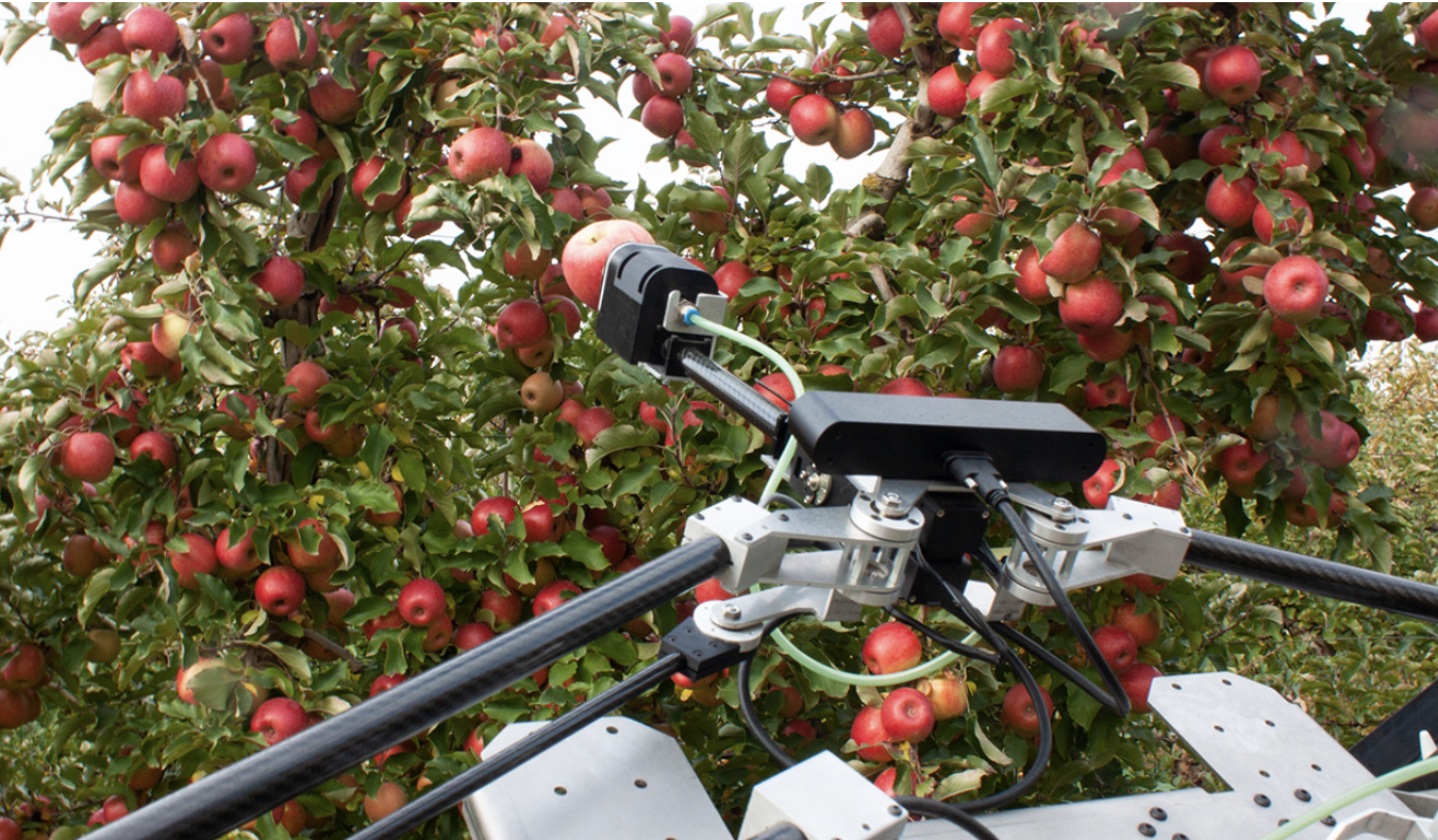 Screen-Shot-2023-06-18-at-85546-am