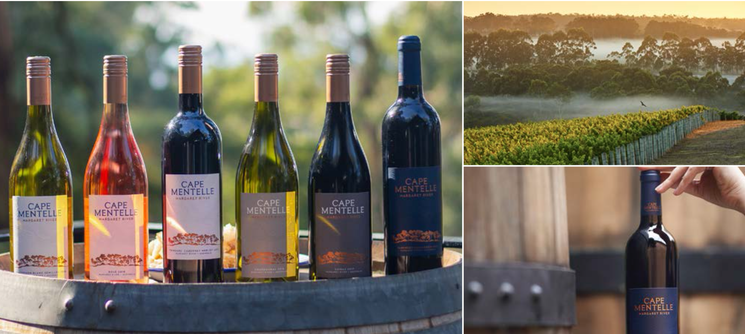 Screen-Shot-2023-06-22-at-90813-am