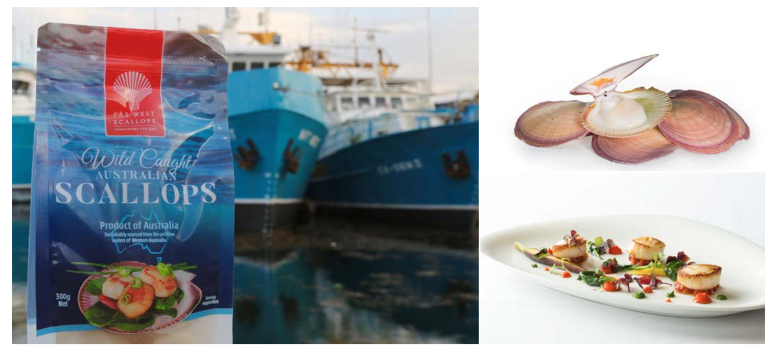 Screen-Shot-2023-06-22-at-33259-pm