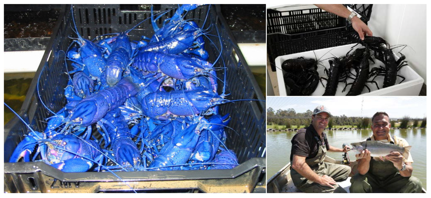 Screen-Shot-2023-06-22-at-33839-pm