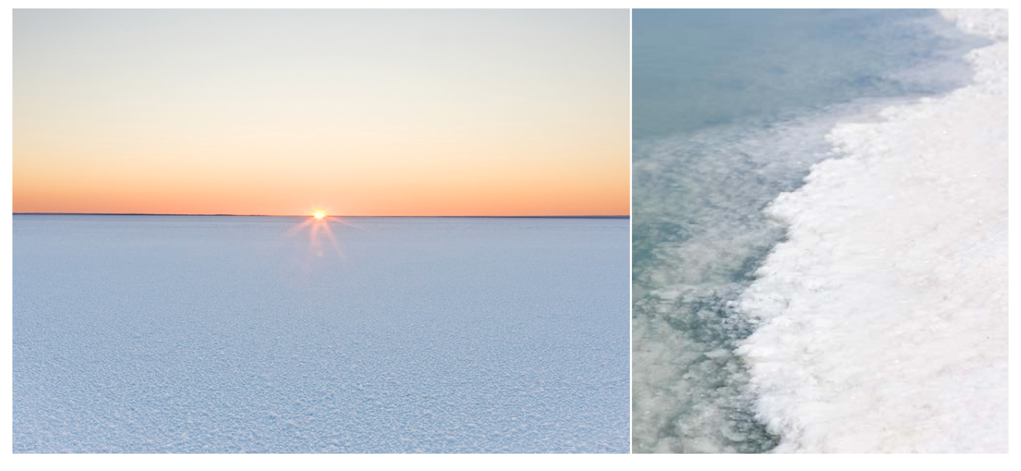 Screen-Shot-2023-06-23-at-93138-am