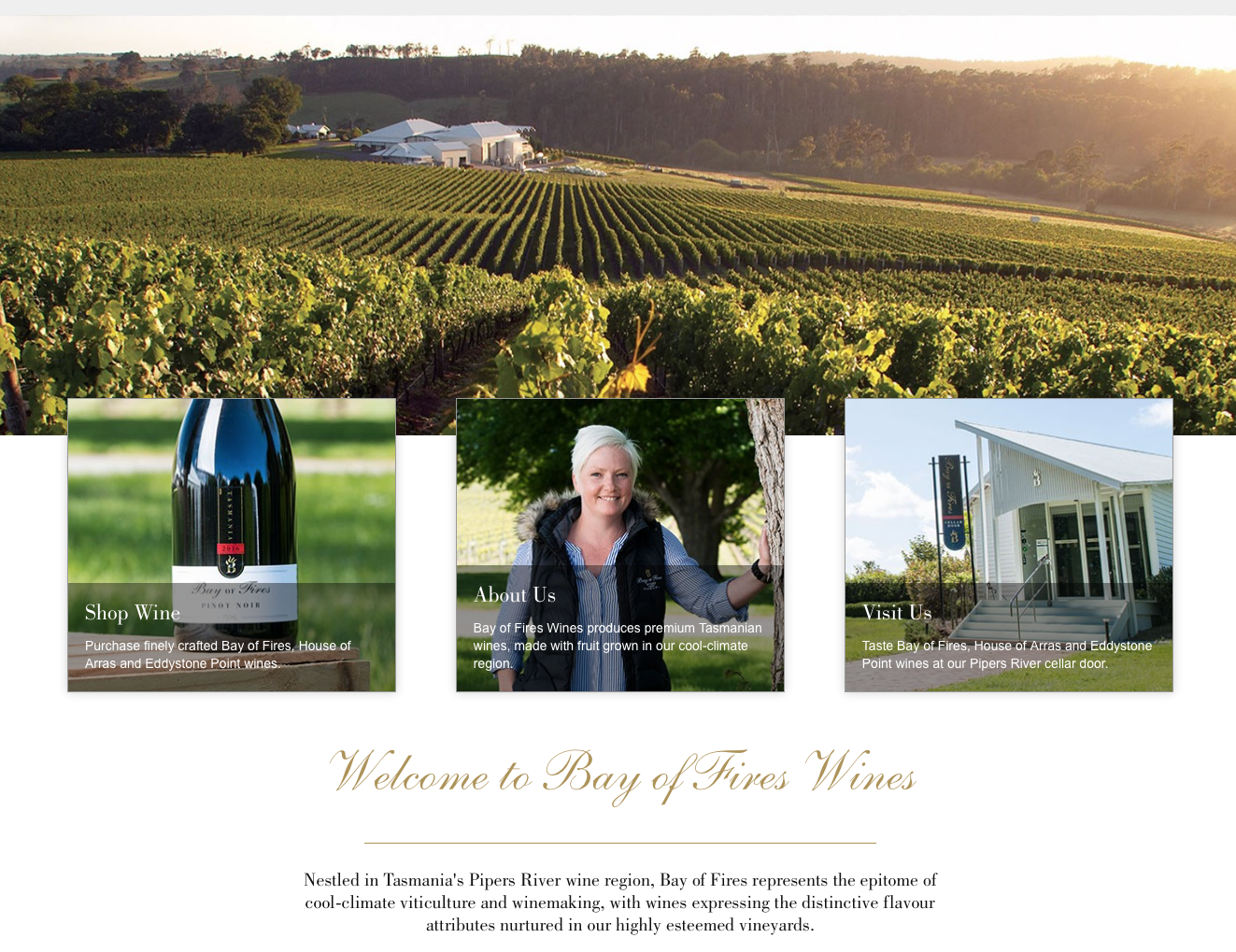 Screen-Shot-2023-04-25-at-113759-am