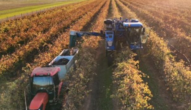 Screen-Shot-2023-05-07-at-93925-am