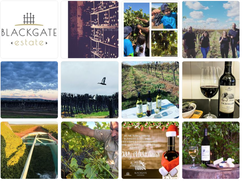 Screen-Shot-2023-05-08-at-90204-am