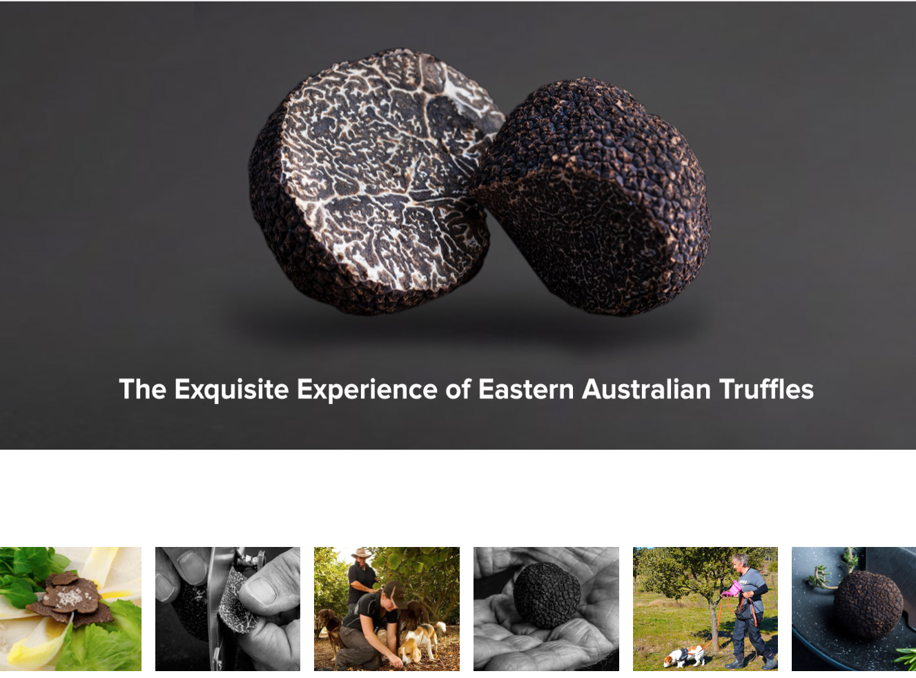 Screen-Shot-2023-05-08-at-91214-am