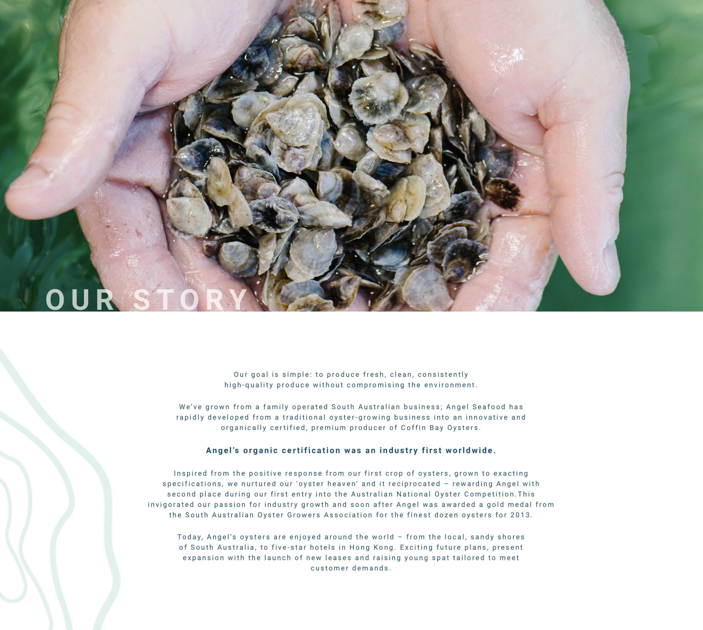 Screen-Shot-2023-05-13-at-123731-pm