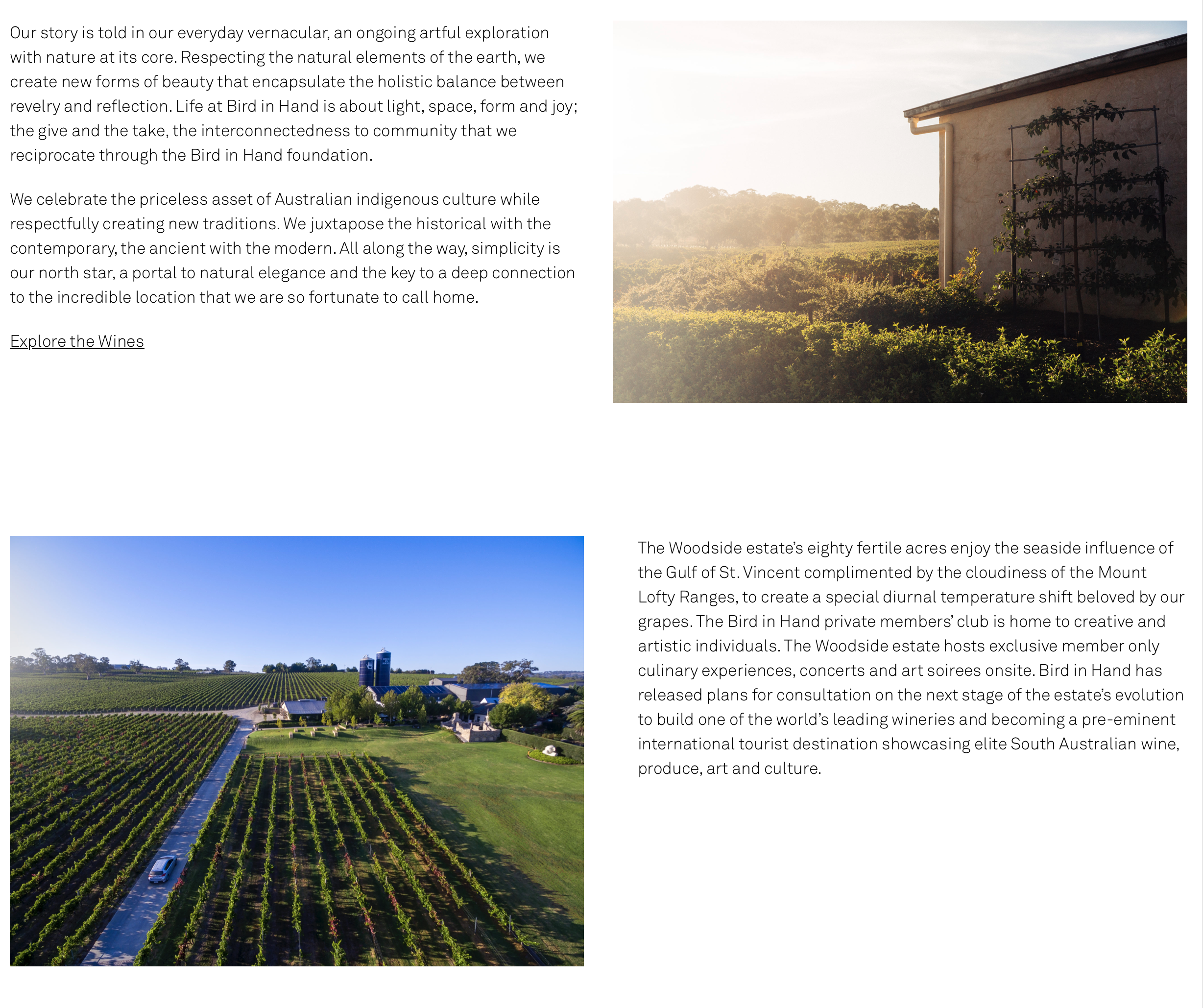 Screen-Shot-2023-05-13-at-124005-pm