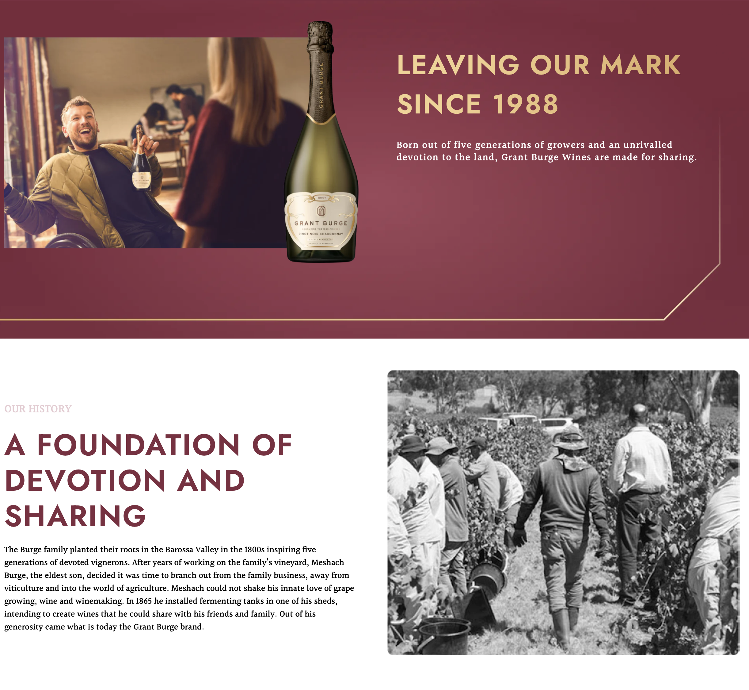 Screen-Shot-2023-05-13-at-125615-pm