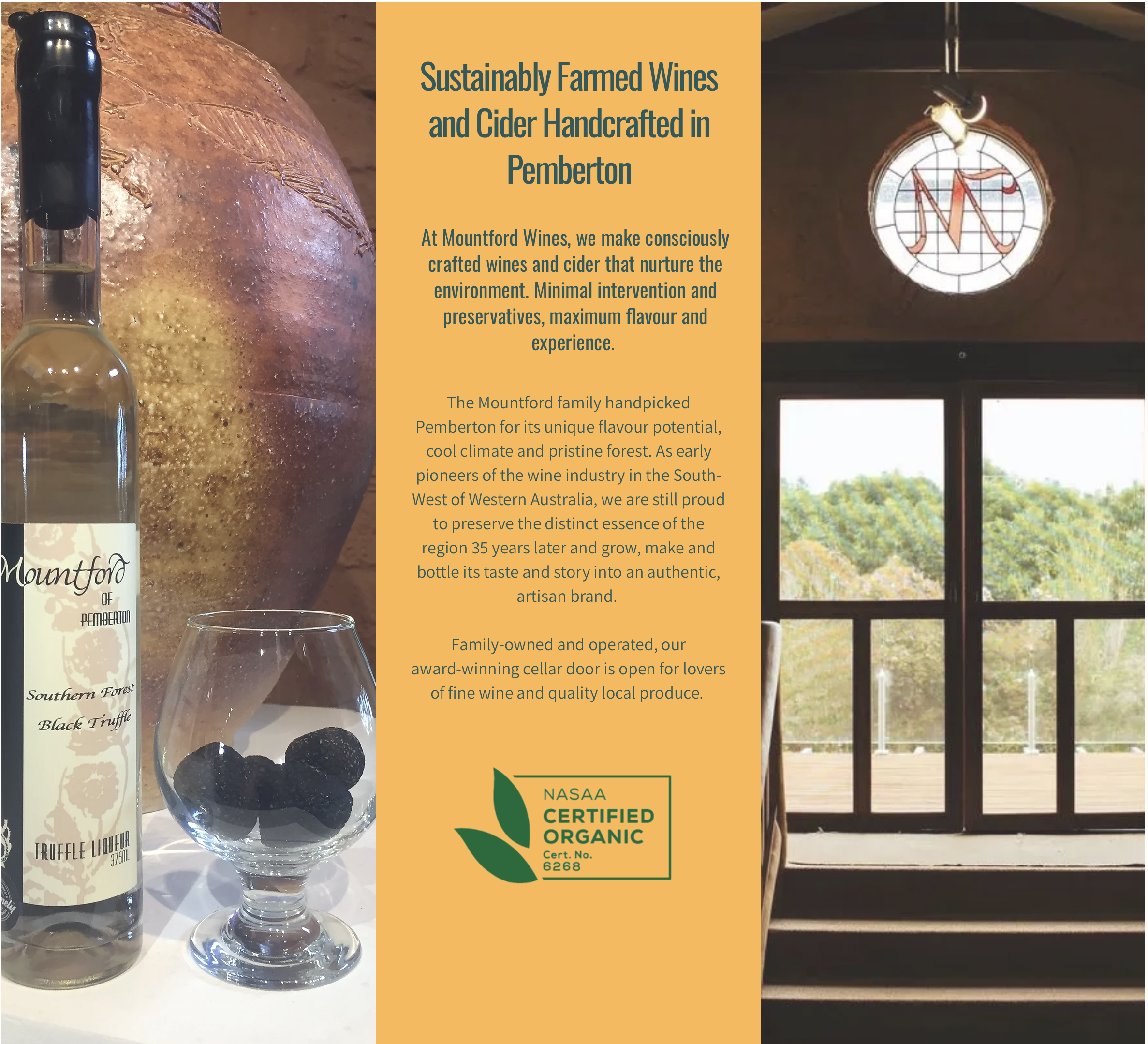 Screen-Shot-2023-05-13-at-41018-pm