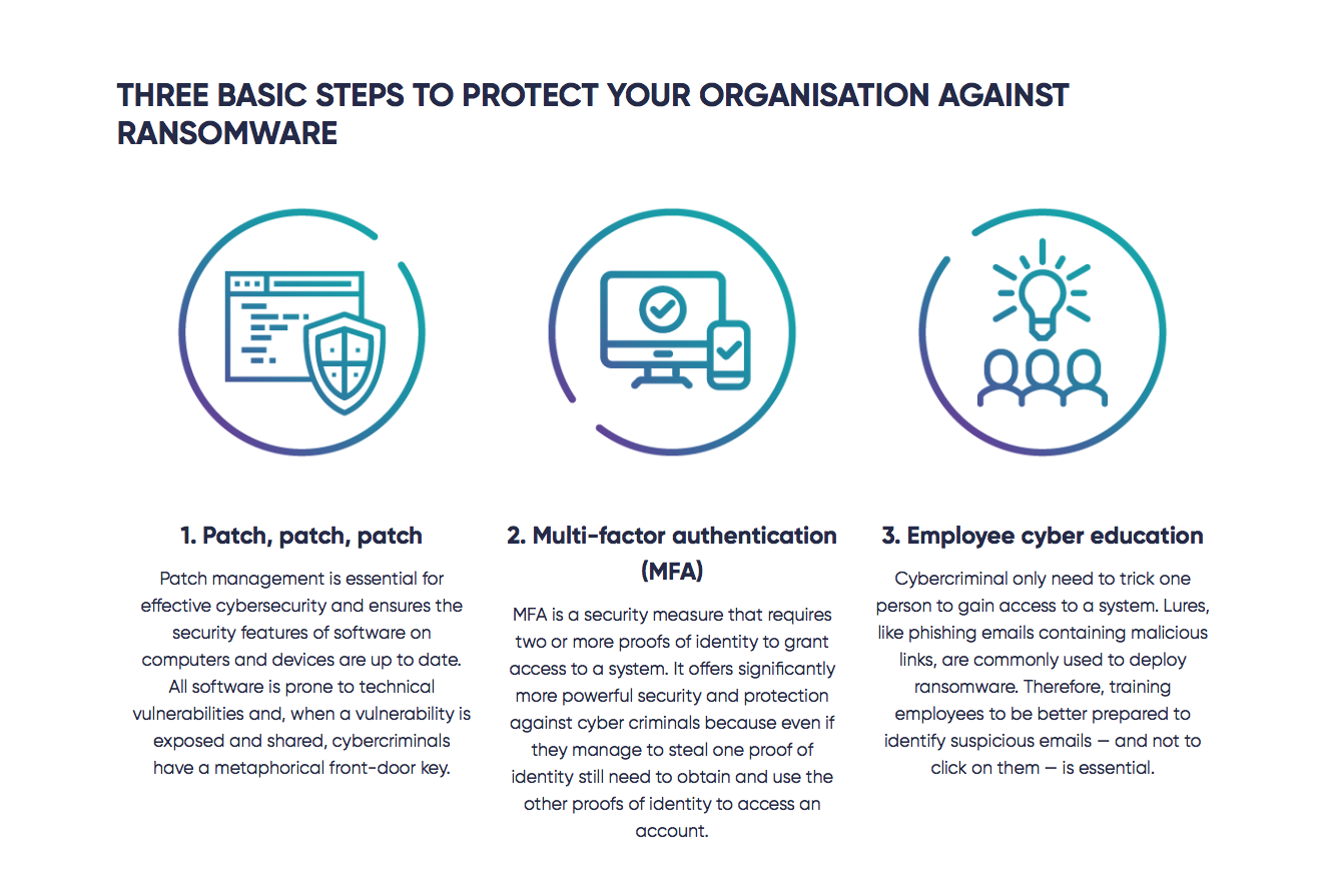 Screen-Shot-2023-05-20-at-125903-pm