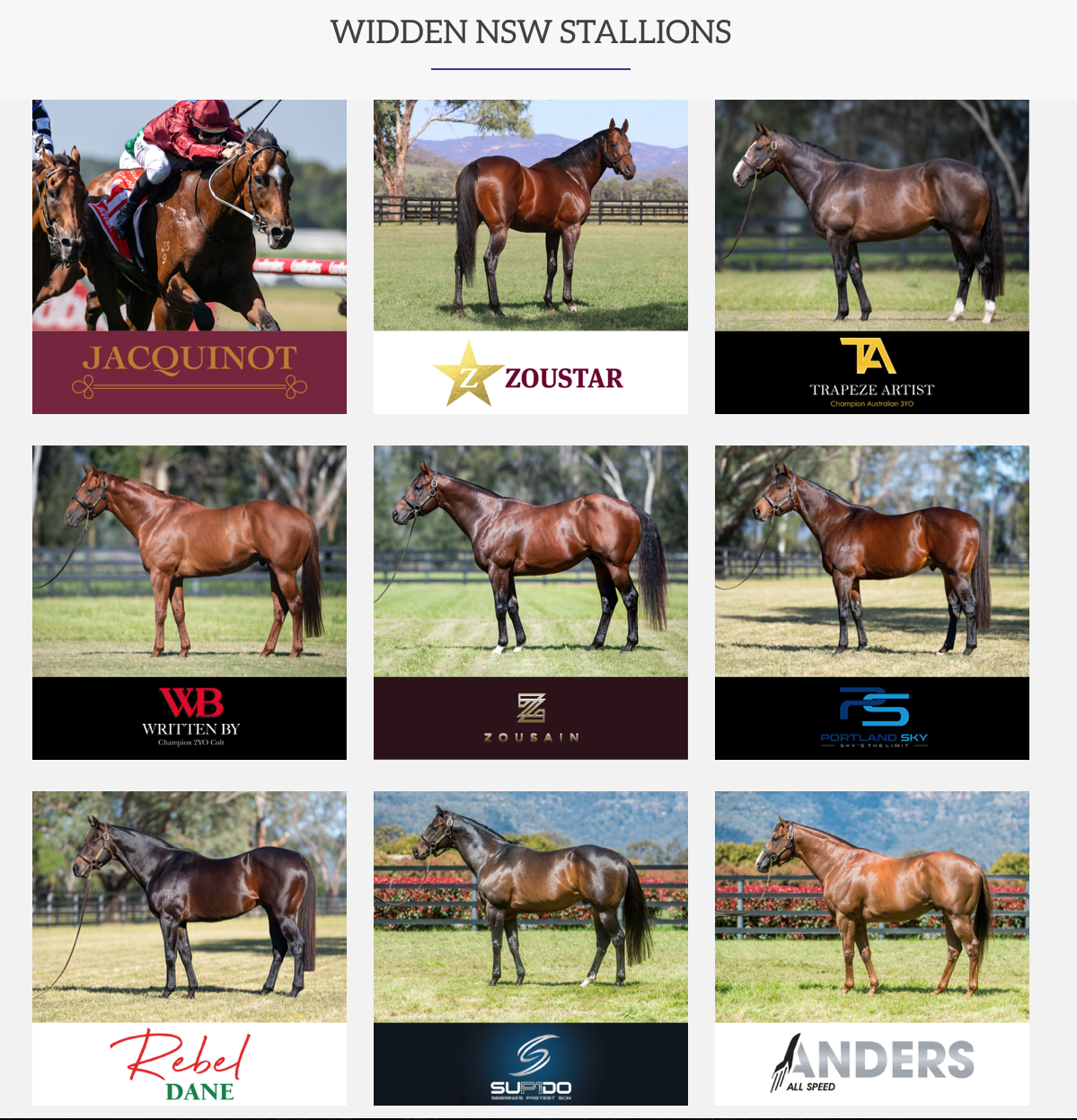 Screen-Shot-2023-07-07-at-124221-pm