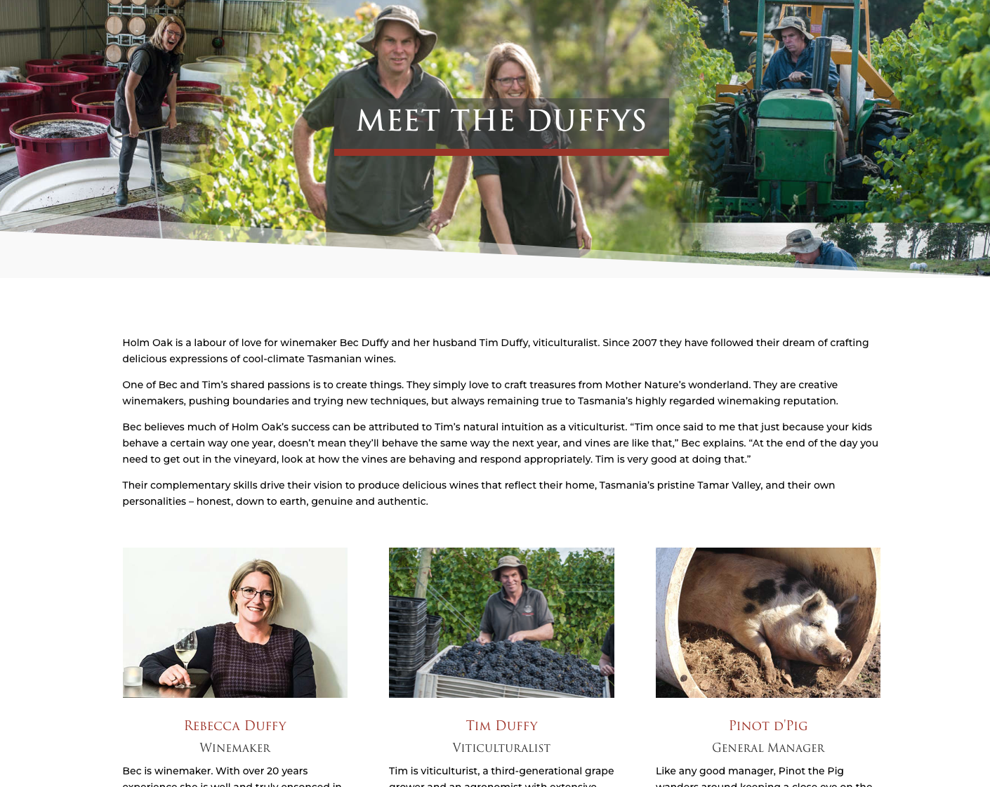 Screen-Shot-2023-04-25-at-45523-pm