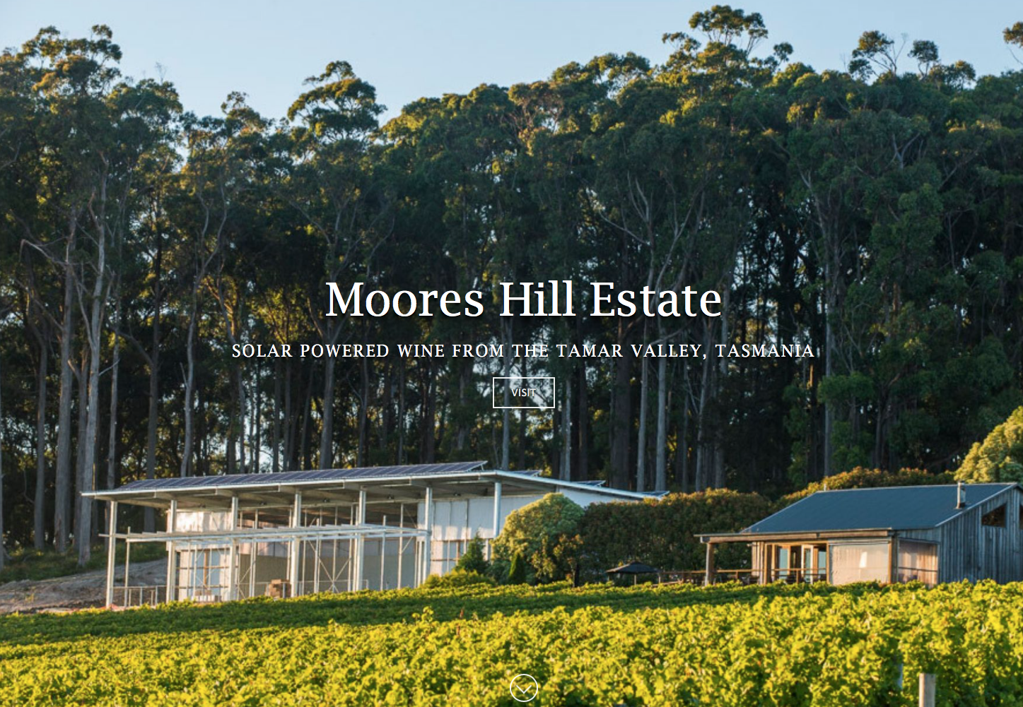 Screen-Shot-2023-04-25-at-54845-pm