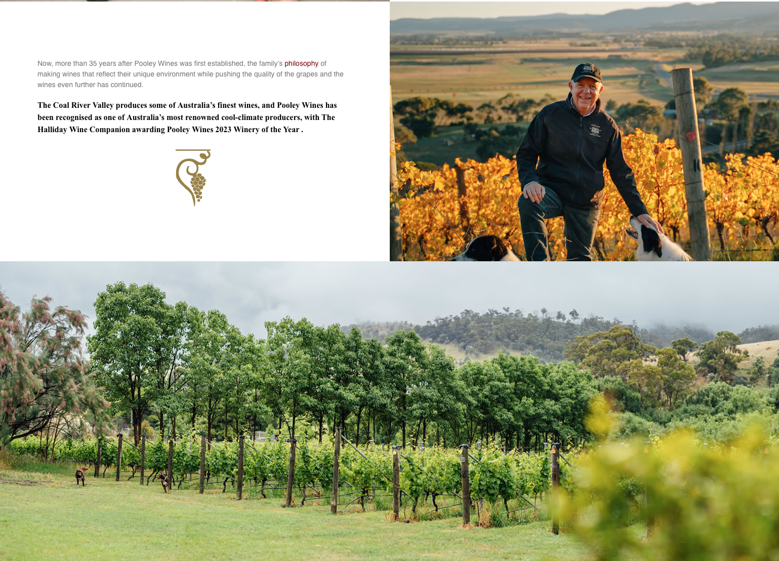 Screen-Shot-2023-04-25-at-60435-pm