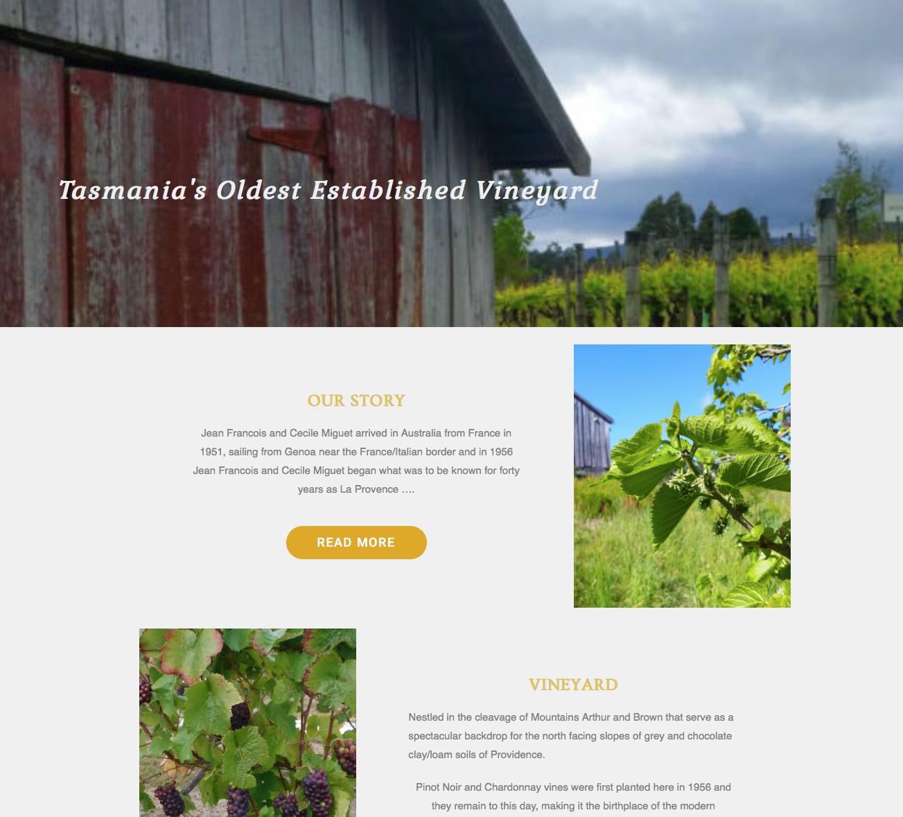 Screen-Shot-2023-04-25-at-60936-pm