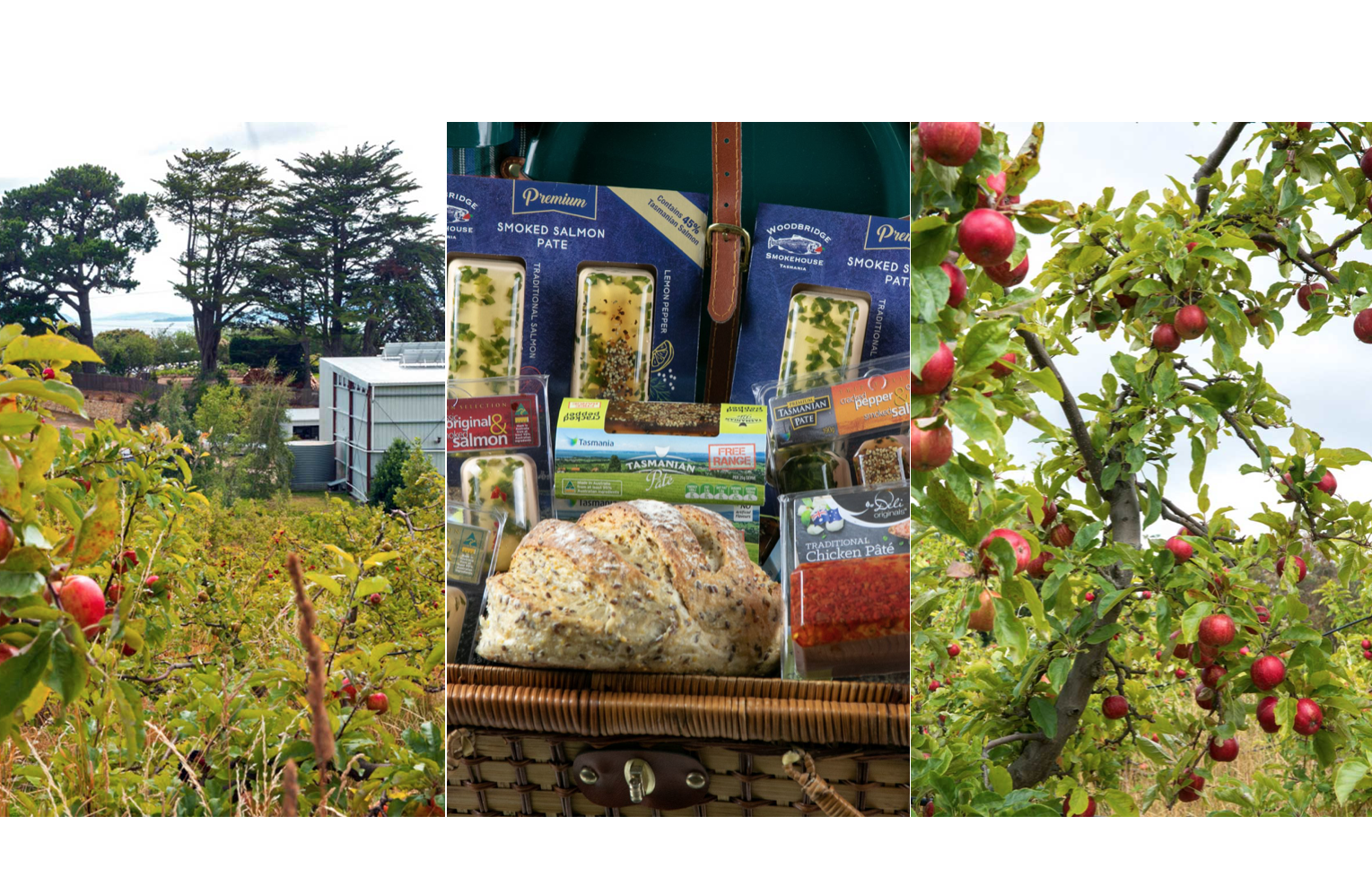 Screen-Shot-2023-04-25-at-61308-pm